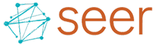 Seer Interactive